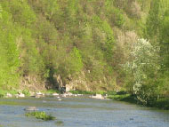 widok Laskowej widok Laskowej